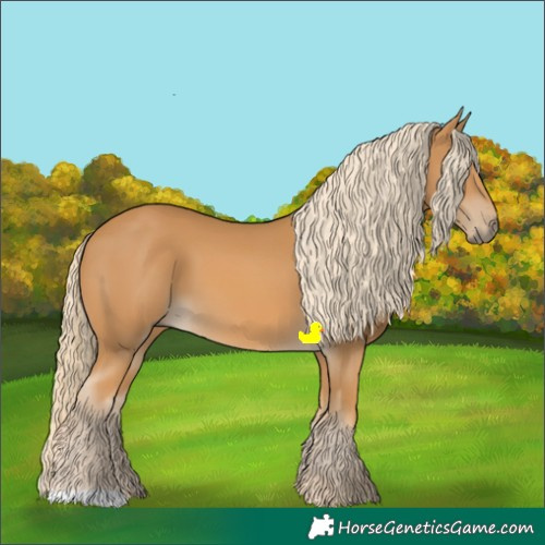 Horse Color:Palomino