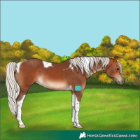 Horse Color:Silver Bay Tobiano 