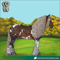 Horse Color:White Spotted Liver Chestnut Tobiano Rabicano 