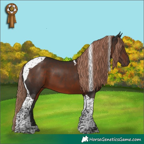 Horse Color:Liver Chestnut Tobiano 