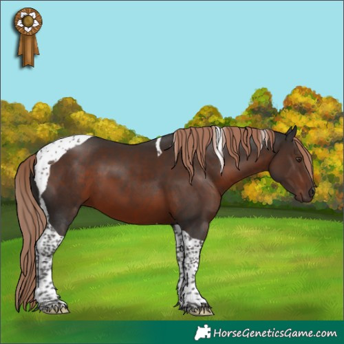 Horse Color:Liver Chestnut Tobiano 