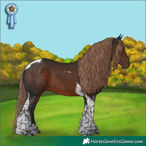 Horse Color:Liver Chestnut Tobiano 