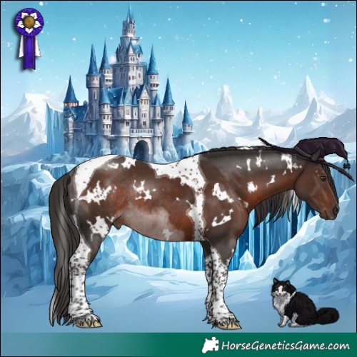 Horse Color:White Spotted Liver Chestnut Tobiano Rabicano 