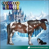 Horse Color:White Spotted Liver Chestnut Tobiano Rabicano