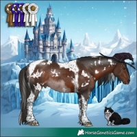 Horse Color:White Spotted Liver Chestnut Tobiano Rabicano