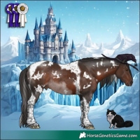 Horse Color:White Spotted Liver Chestnut Tobiano Rabicano 