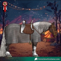 Horse Color:Silver Brown Tobiano 