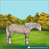 Horse Color:White Spotted Liver Red Dun Mushroom