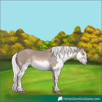 Horse Color:White Spotted Liver Red Dun Mushroom Splash Tobiano Rabicano