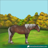 Horse Color:Liver Chestnut Mushroom Tobiano 