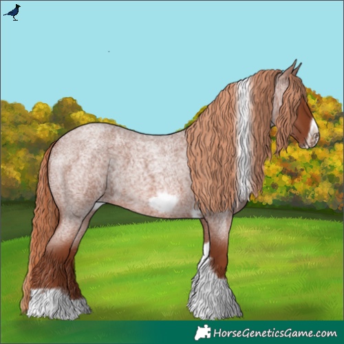 Horse Color:Red Roan Tobiano Frame