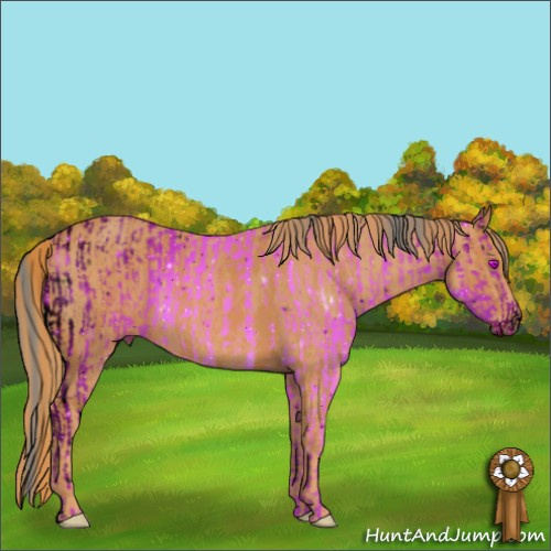Horse Color:ERROR: UNKNOWN ANOMALY Brindle