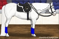 Horse Color:Cremello Sabino  Brindle