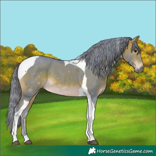 Horse Color:Watercolor Bay Tobiano 