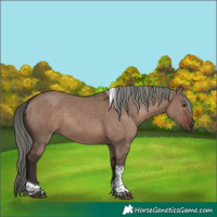 Horse Color:Liver Red Dun Mushroom Tobiano 