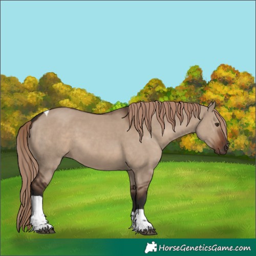 Horse Color:White Spotted Liver Red Dun Tobiano