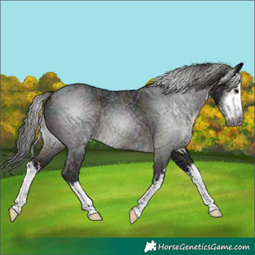 Horse Color:Gray White Spotted Midnight Brown Ice 