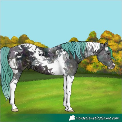 Horse Color:Watercolor Midnight Buckskin Ice Onyx Tobiano 