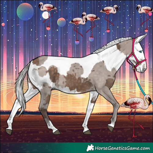 Horse Color:Silver Bay Dun Merle 