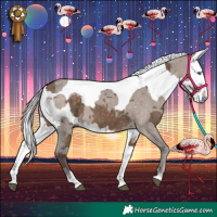 Horse Color:Silver Bay Dun Merle 