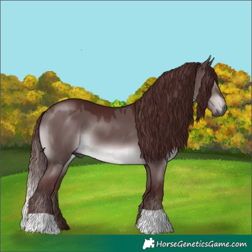 Horse Color:Gray Platinum Chocolate Brown Dun