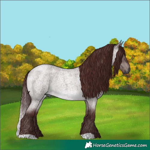 Horse Color:Gray Platinum Chocolate Brown Roan Dun 