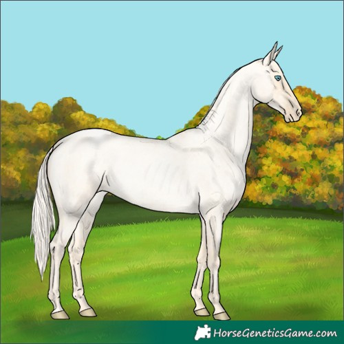 Horse Color:Palomino Roan Pearl  and Palomino Roan Pearl Dun 