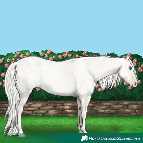 Horse Color:Palomino Roan Pearl  and Gold Cream Champagne Roan Pearl 