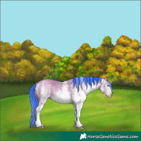 Horse Color:Gray Watercolor White Spotted Classic Champagne Dun