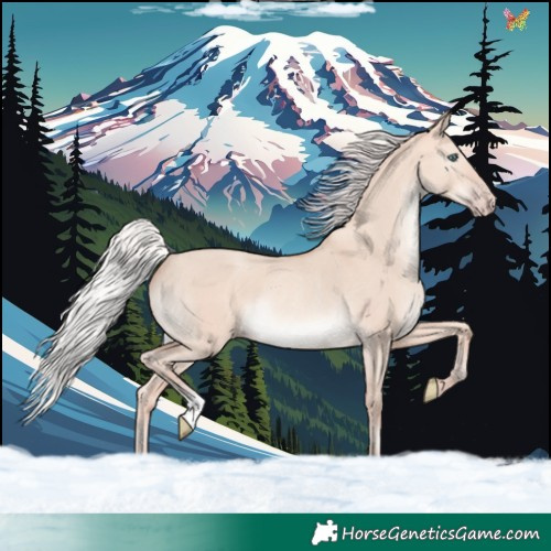 Horse Color:Silver Amber Champagne Dun Mushroom Rabicano 
