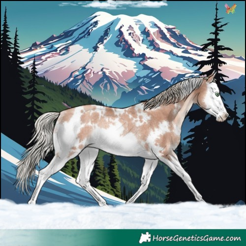 Horse Color:White Spotted Gold Champagne Mushroom Splash Rabicano 