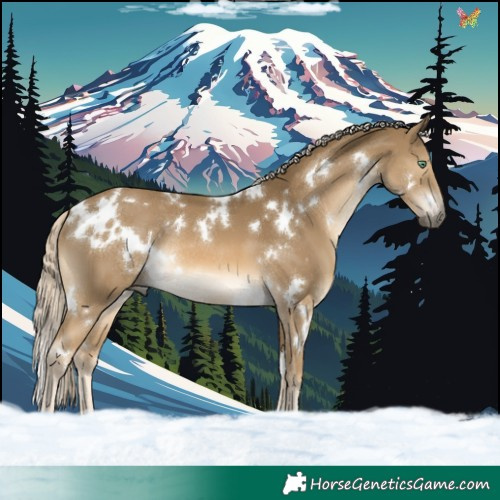 Horse Color:White Spotted Chocolate Palomino Mushroom Rabicano