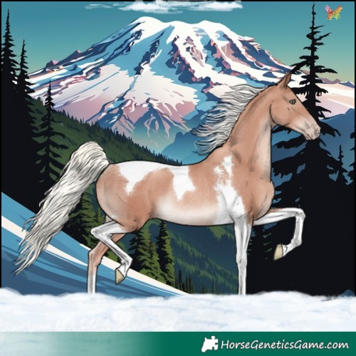 Horse Color:Gold Champagne Mushroom Tobiano Rabicano
