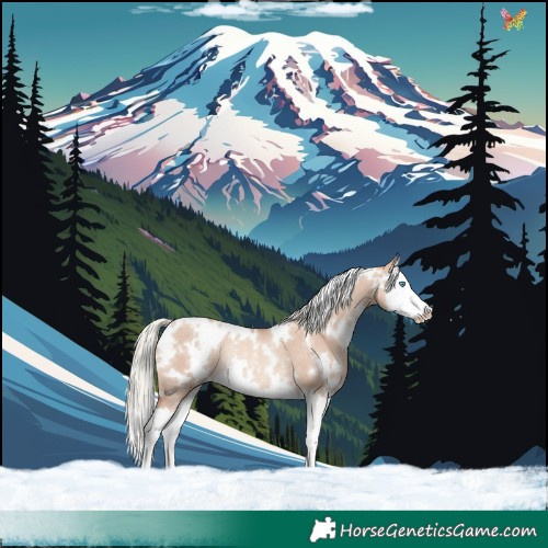 Horse Color:White Spotted Gold Champagne Dun Mushroom Splash Rabicano