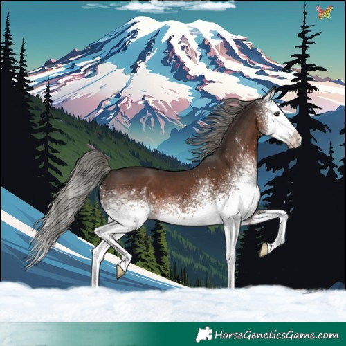 Horse Color:White Spotted Liver Chestnut Mushroom Splash 