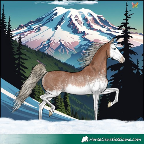 Horse Color:White Spotted Chestnut Mushroom Splash Rabicano