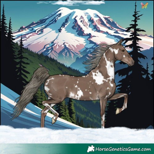 Horse Color:White Spotted Liver Red Dun Mushroom