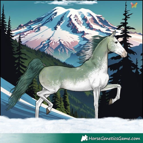 Horse Color:Watercolor White Spotted Brown Dun Tobiano 