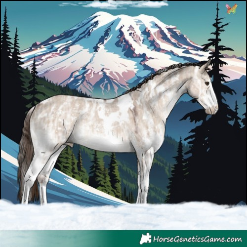 Horse Color:White Spotted Liver Red Dun Ice Sabino Rabicano 
