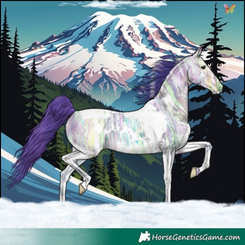 Horse Color:Watercolor White Spotted Brown Ice Dun Tobiano Rabicano 