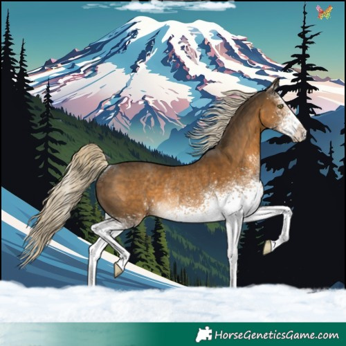 Horse Color:White Spotted Chocolate Palomino Mushroom Rabicano