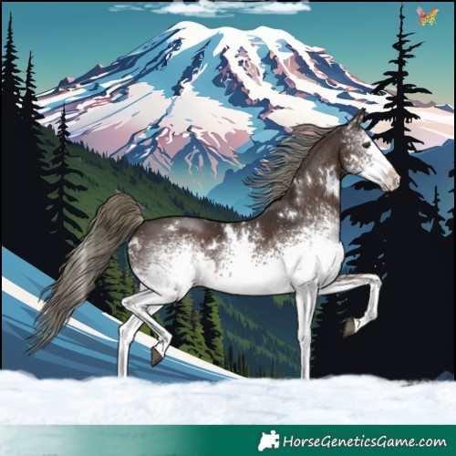 Horse Color:White Spotted Liver Chestnut Mushroom