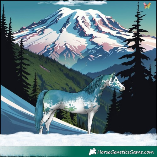 Horse Color:Watercolor White Spotted Brown Splash Rabicano 