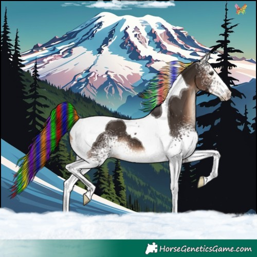 Horse Color:Painted White Spotted Liver Chestnut Tobiano