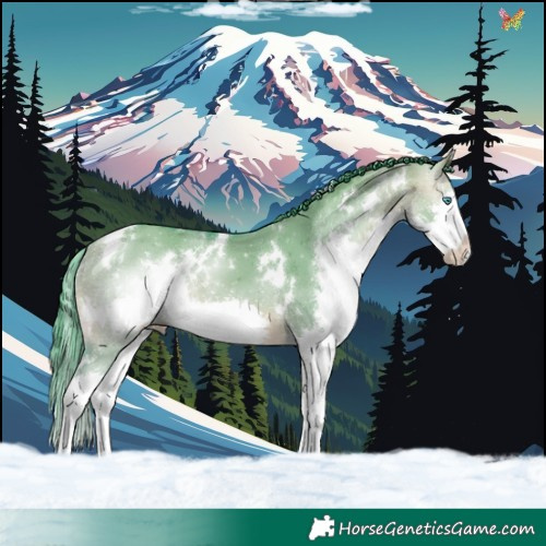 Horse Color:Watercolor White Spotted Bay Dun Splash 