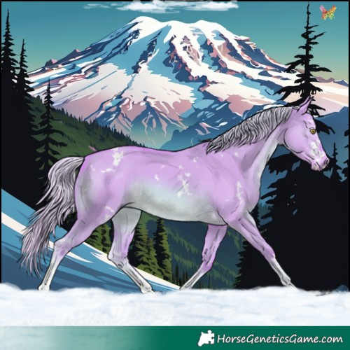 Horse Color:Watercolor White Spotted Chocolate Palomino Dun Sabino 