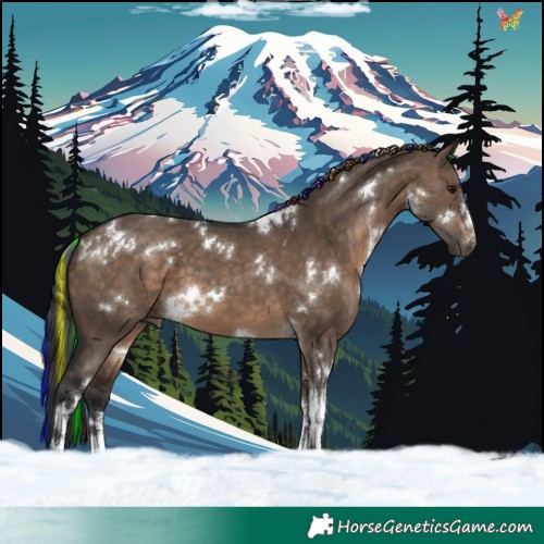 Horse Color:Painted White Spotted Brown Dun