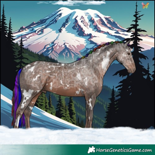 Horse Color:Painted White Spotted Liver Chestnut Ice 