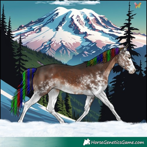 Horse Color:Painted White Spotted Liver Chestnut 