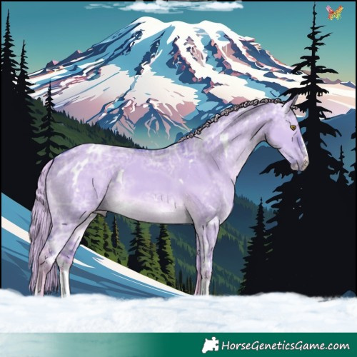 Horse Color:Watercolor White Spotted Chocolate Palomino Ice Dun Sabino 
